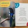 Abecedario de animales - Image 3