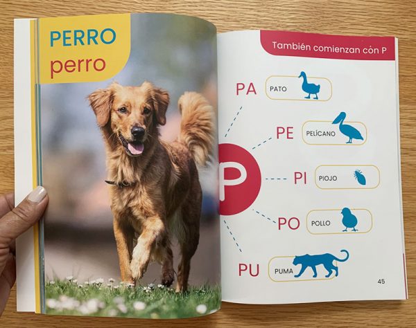 Abecedario de animales - Image 4