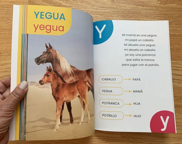 Abecedario de animales - Image 5