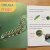 Abecedario de animales - Image 6