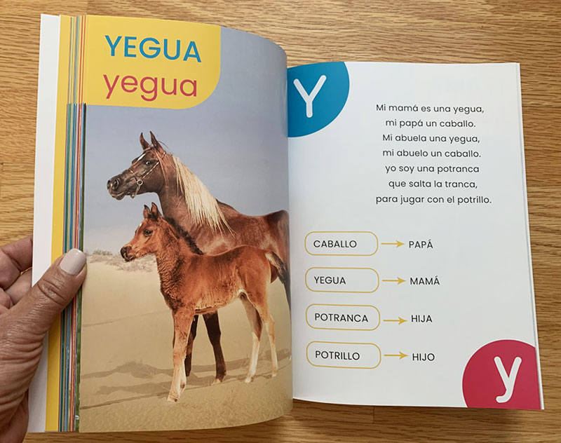 Abecedario de animales – Nara Learning